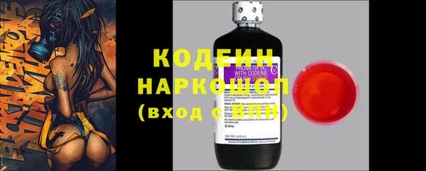 прущий лед Арсеньев