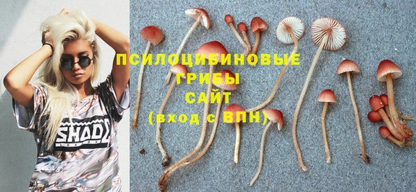 прущий лед Арсеньев
