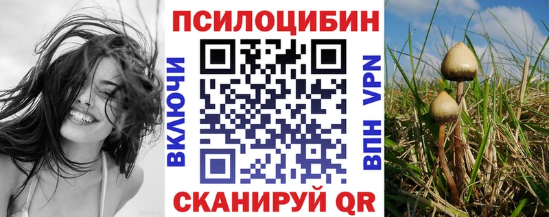 Галлюциногенные грибы мицелий  Шумиха 